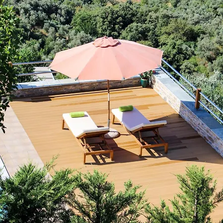 Villa Zaki *