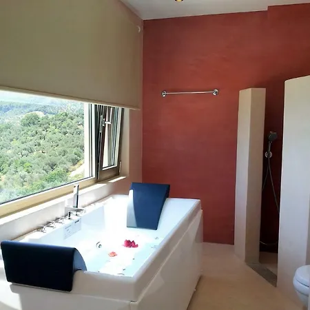 Zaki Moni Evaggelistrias